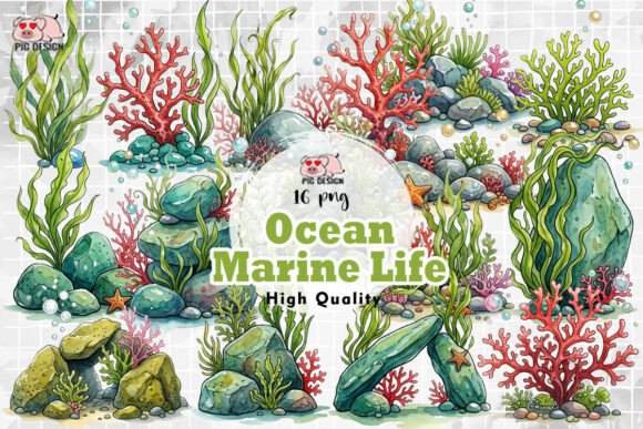 Download Ocean Marine Life PNG - Marine life Collection