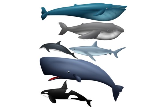 Download Marine Life Animals Clipart - Marine life Collection