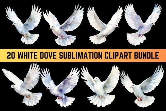 Download White Dove Sublimation Clipart Bundle - Dove Collection