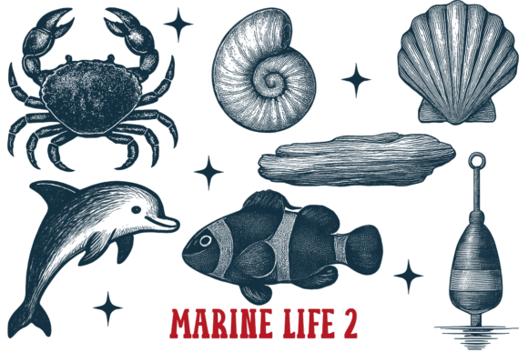 Download Marine Life 2 Vintage Ocean Animals Sea - Marine life Collection
