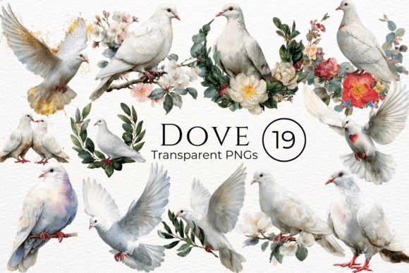 Download Dove Watercolor Clipart - Premium Resources